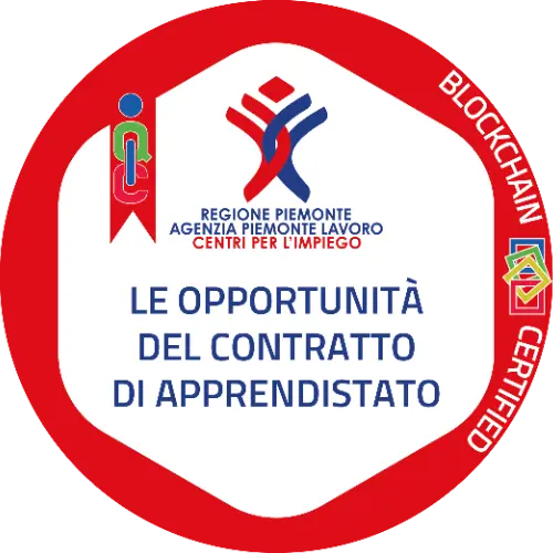 Badge pubblico 28256